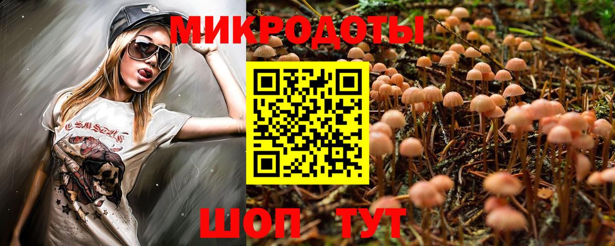 Черногорск  Псилоцибиновые грибы мухоморы  Вход с VPN  Галлюциногенные грибы ЛСД 