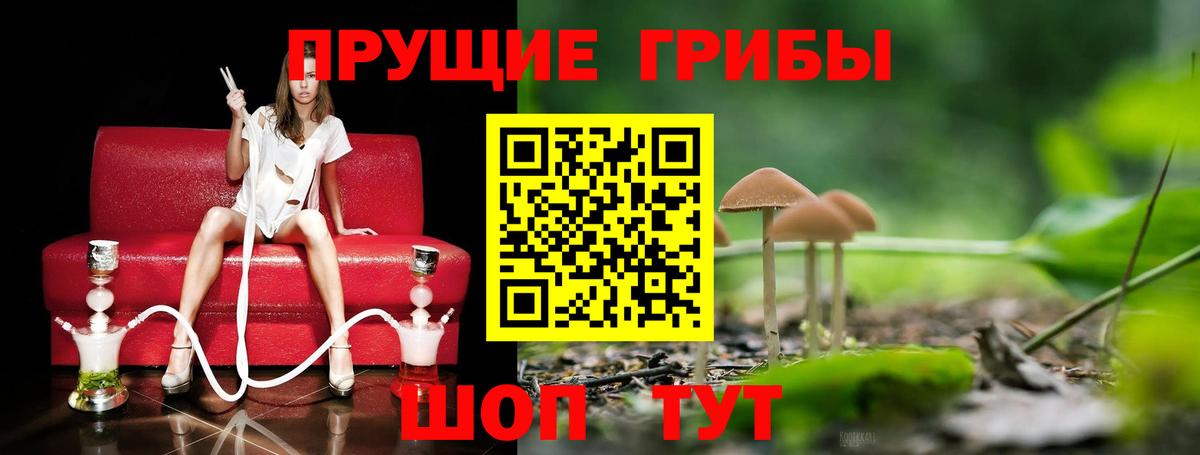 Галлюциногенные грибы GOLDEN TEACHER Черногорск